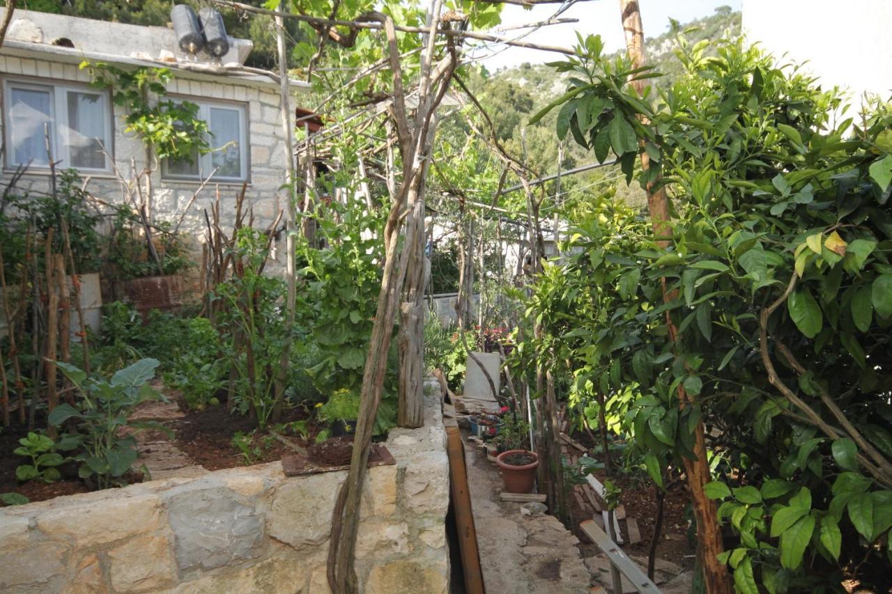 Seaside Secluded Apartments Cove Smokvina, Hvar - 4036 Bogomolje 外观 照片